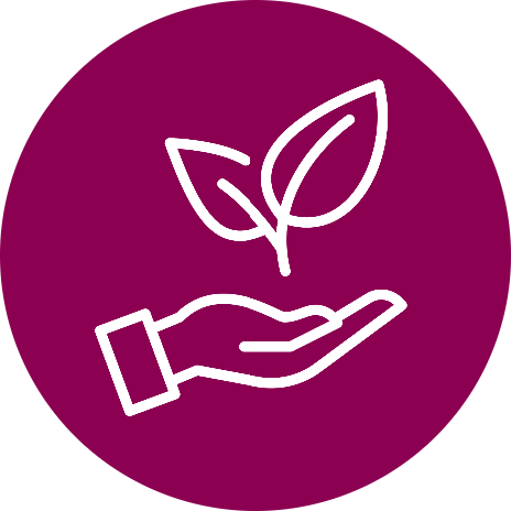 Icon 2 - Sustainability contribution
