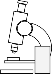 accordian_image