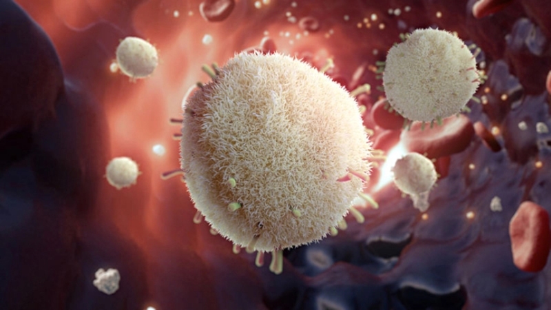 AstraZeneca in vaccines and immune therapies